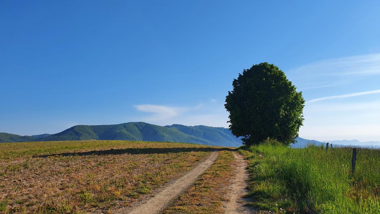 Vila Doliny Konská Esterno foto