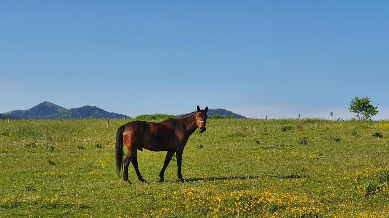 Vila Doliny Konská Esterno foto
